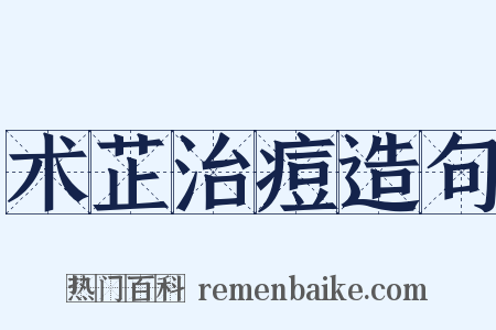 术芷治痘造句是什么意思的图片